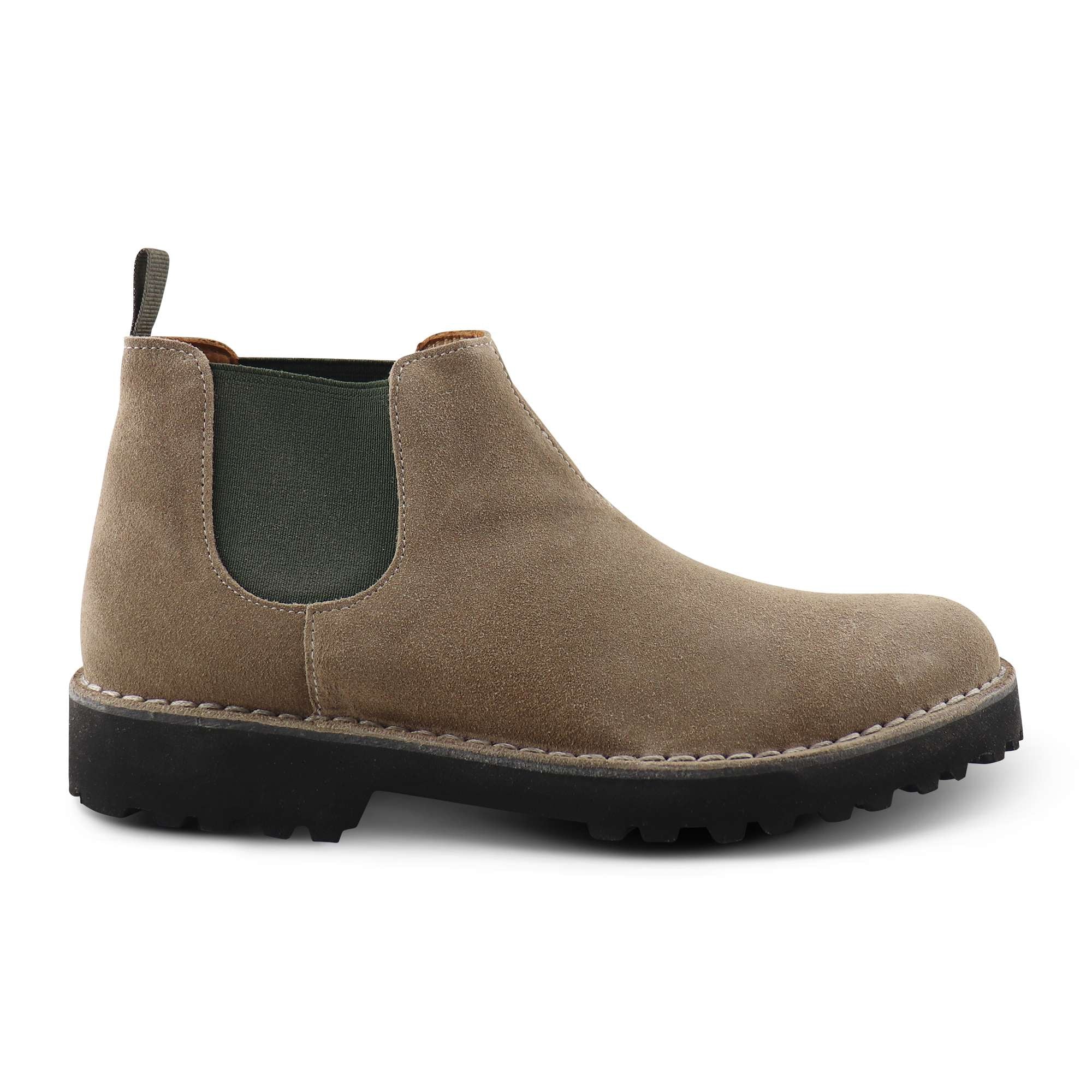 Chelsea tortota in camoscio